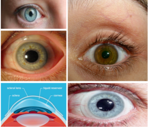 Screen Shot 2018 02 05 At 12 17 42 Pm 300x257