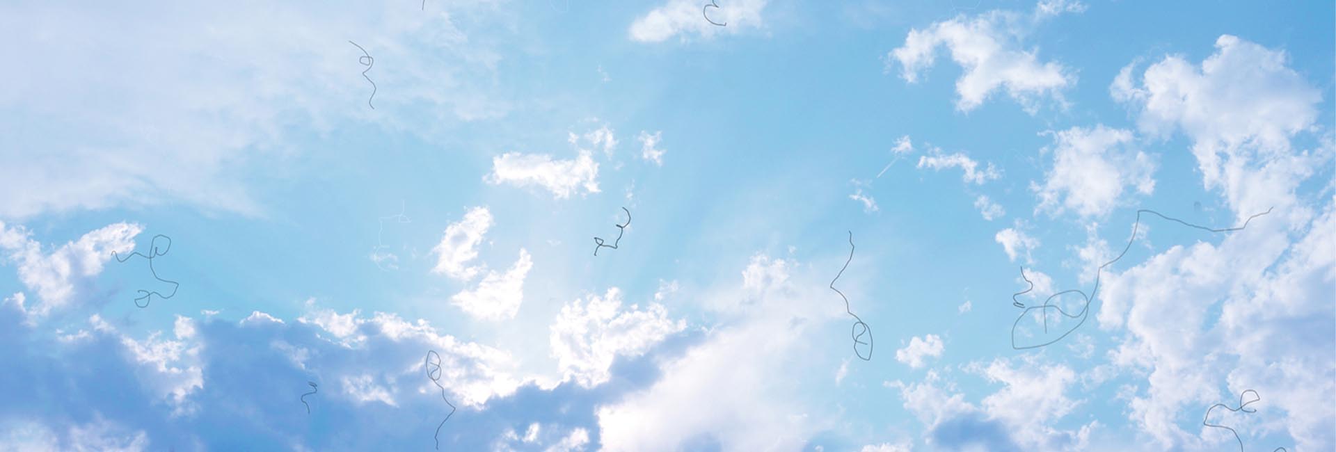 Seeing floaters, Spider webs